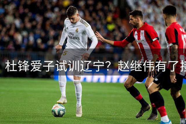 杜锋爱子试训辽宁？赵继伟有了接班人乐坏辽蜜 结果亲妈辟谣了