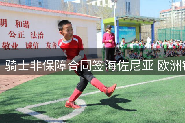 骑士非保障合同签海佐尼亚 欧洲锋线悍将能否立足NBA？